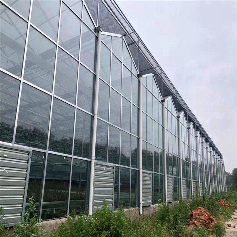 泰州玻璃温室