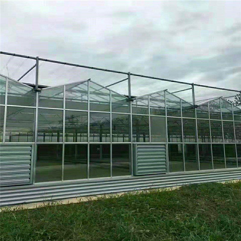 泰州玻璃温室